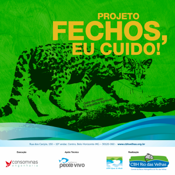 Espécie ameaçada de extinção vive na Estação Ecológica de Fechos